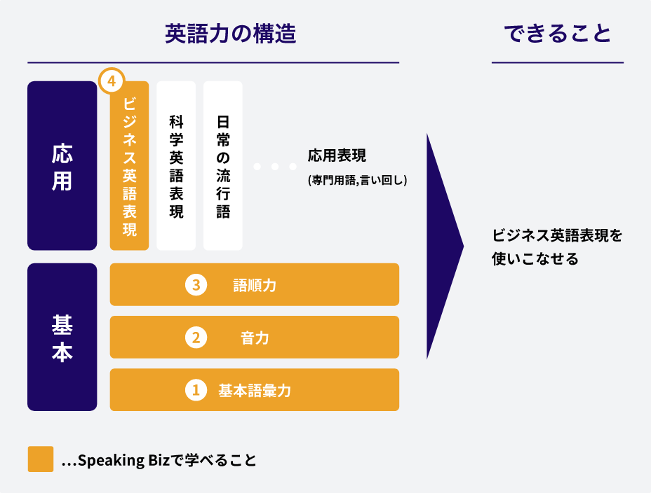 SpeaKing Biz（スピーキングビズ）の効果や特徴は？使えるビジネス英語のトレーニングを体験した感想│ALL英会話